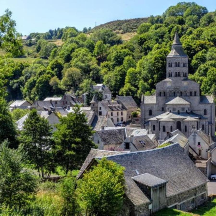 Iris, Gite Saint Antoine, Orcival, Entre Sancy Et Volcans D'Auvergne Exterior photo